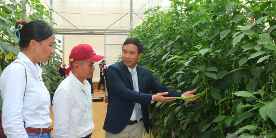 Khánh thành Trung tâm Nghiên cứu và Phát triển Rijk Zwaan Việt Nam