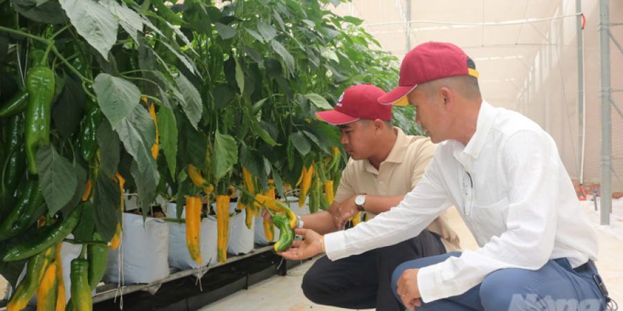 Khánh thành Trung tâm Nghiên cứu và Phát triển Rijk Zwaan Việt Nam