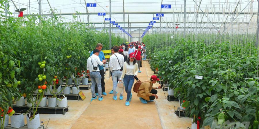 Khánh thành Trung tâm Nghiên cứu và Phát triển Rijk Zwaan Việt Nam