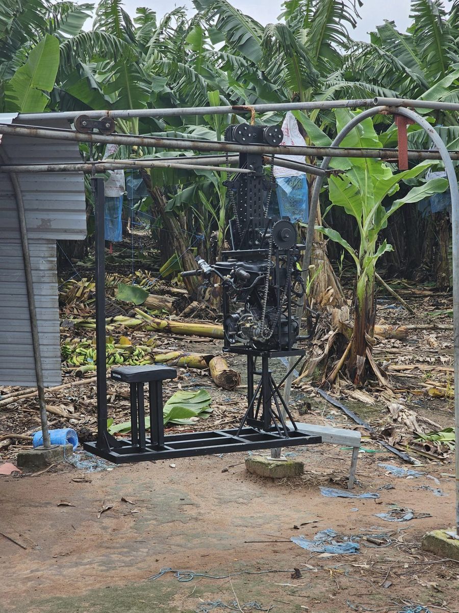 máy kéo chuối