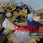 Máy dán thùng carton đóng thùng chuối 1 