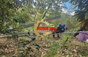 Xuất Hàng Tàu 1 Ray Sang Lào - Dấu Ấn Tự Hào Của Thương Hiệu Hồng Kỳ