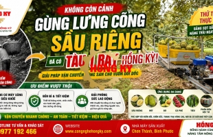 Tàu 1 Ray Hồng Kỳ – Giải Pháp Vận Chuyển Sầu Riêng Hiệu Quả Cho Vườn Đồi Dốc