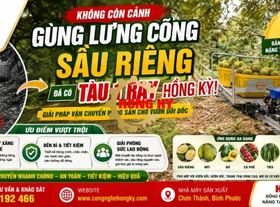 Tàu 1 Ray Hồng Kỳ – Giải Pháp Vận Chuyển Sầu Riêng Hiệu Quả Cho Vườn Đồi Dốc