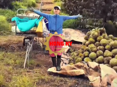 Tàu 1 Ray vận chuyển sầu riêng, cà phê, rau màu, nấm linh chi