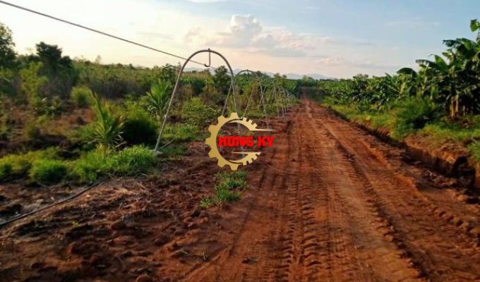 Hệ thống thu hoạch chuối