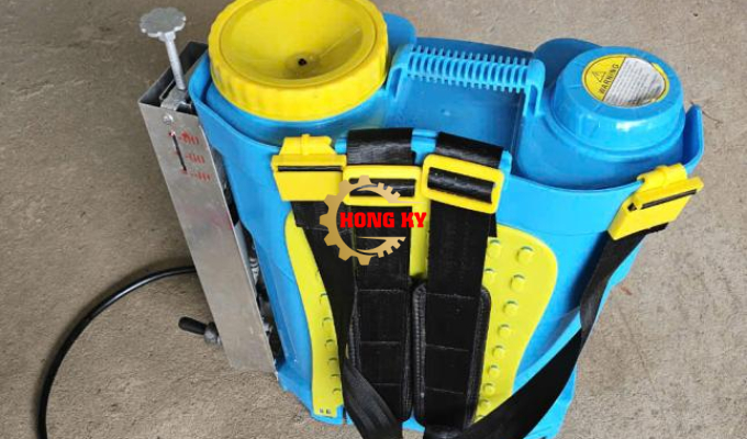 Bình chích bắp chuối